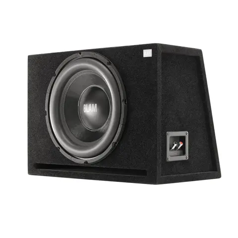 BLAM Bass-reflex cabinet with BP30 amplifier